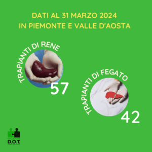 trapianti rene e fegato in Piemonte e Valle d'Aosta al 31 marzo 2024