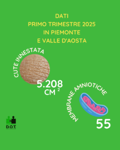 cute e membrane amniotiche