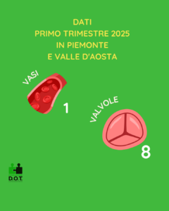 vasi e valvole